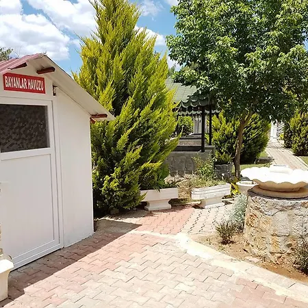 Silver Pine 3* Kargı