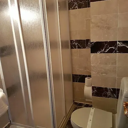 Silver Pine 3* Kargı