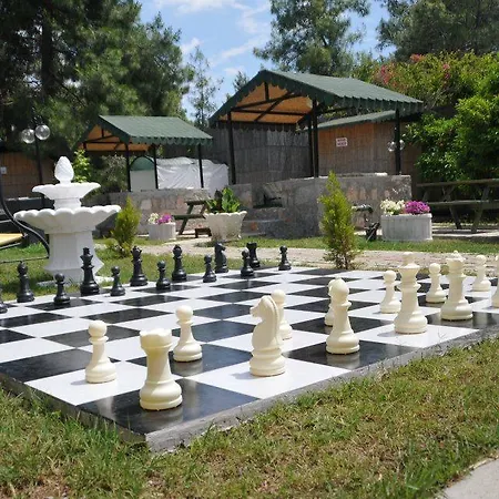 Ξενοδοχείο Silver Pine 3*