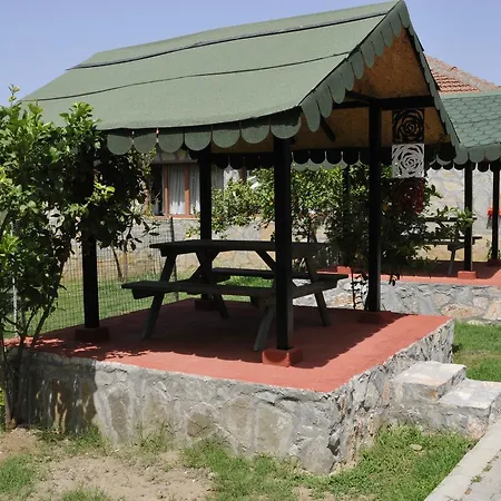 Hotel Silver Pine 3*