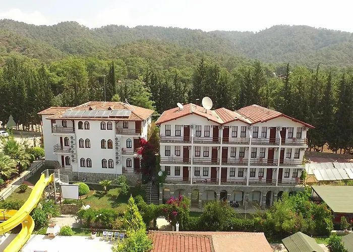 Hotel Silver Pine 3*