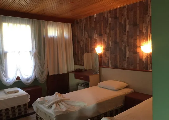 Silver Pine 3* Kargı