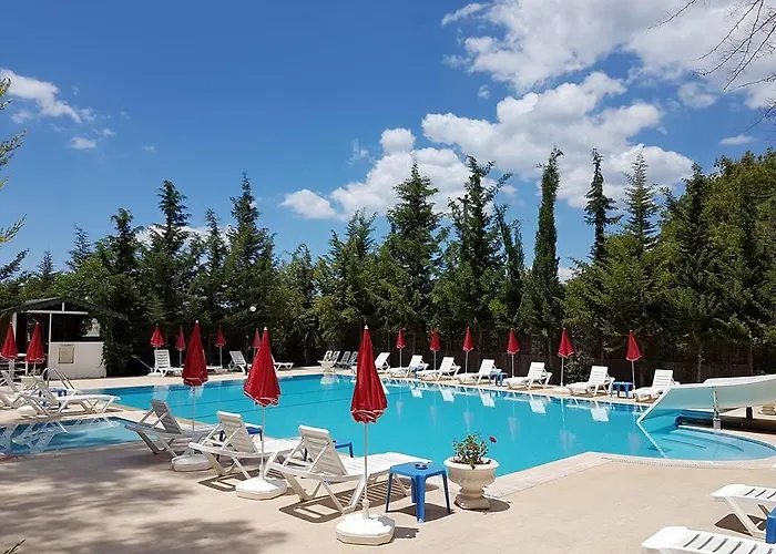 Hotel Silver Pine 3*