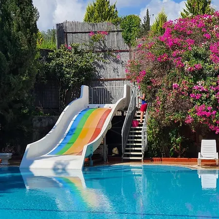 Hotel Silver Pine