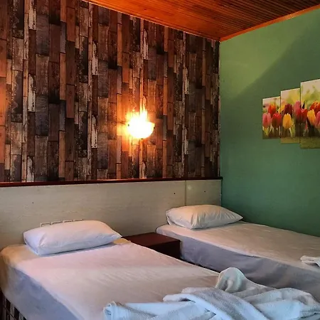 Hotel Silver Pine 3*