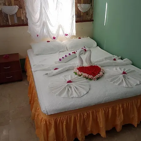 Silver Pine 3* Kargı