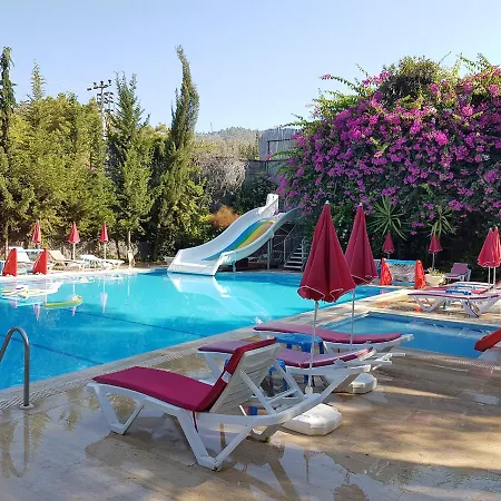 Silver Pine 3* Kargı